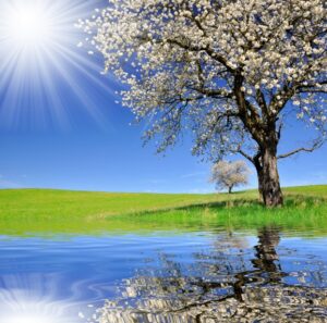 Relaxation Audio